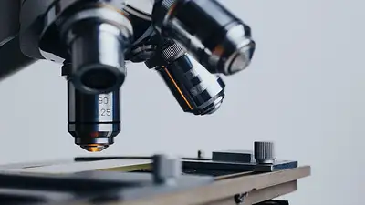 Ile zarabia diagnosta laboratoryjny? Średnie zarobki i persp