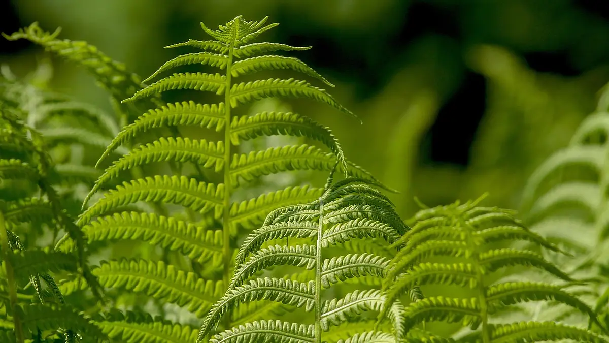 Jak odsłonić ukryte wiersze w Excelu – szybkie metody